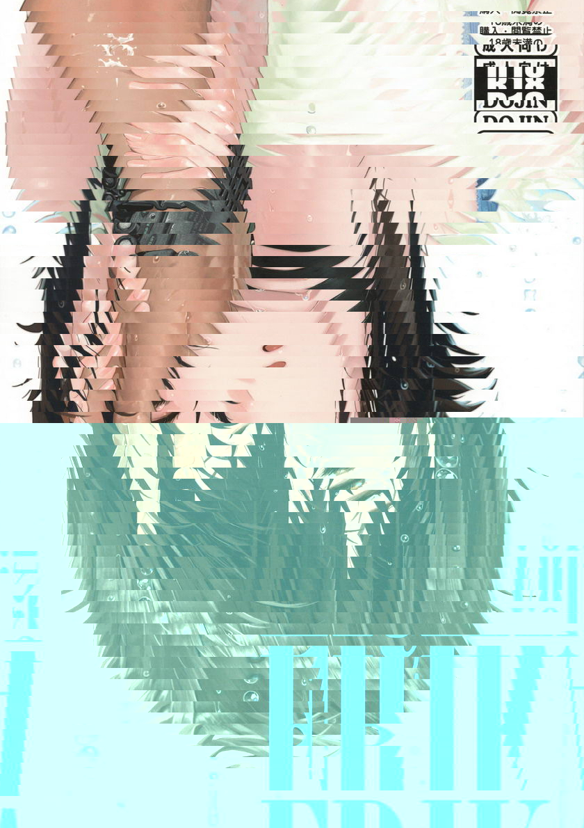 ERIKA Vol.2