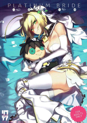 [ダイコテツ団 (92M)] PLATINUM BRIDE (Fate╱Grand Order)