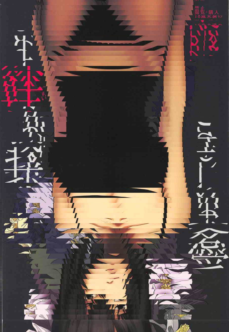 我亲爱的姐姐 (少女与战车)