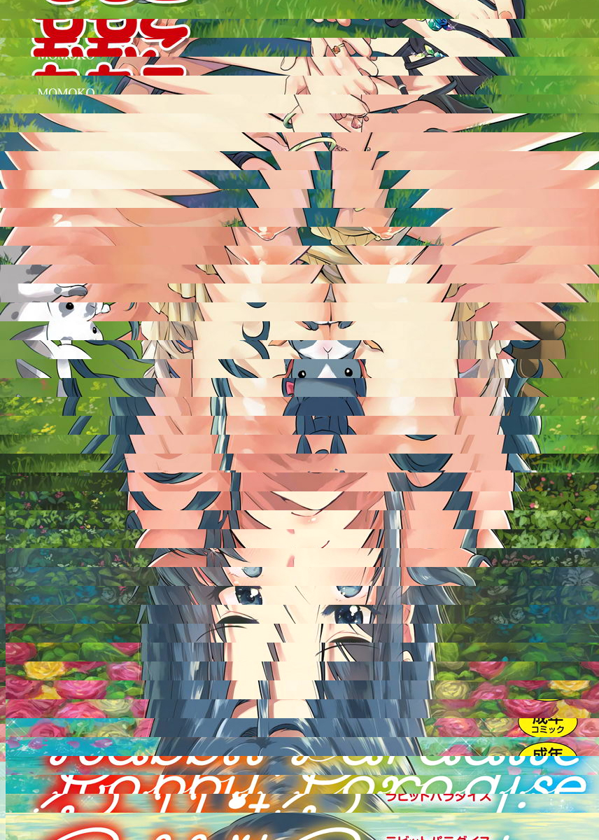 Rabbit Paradise