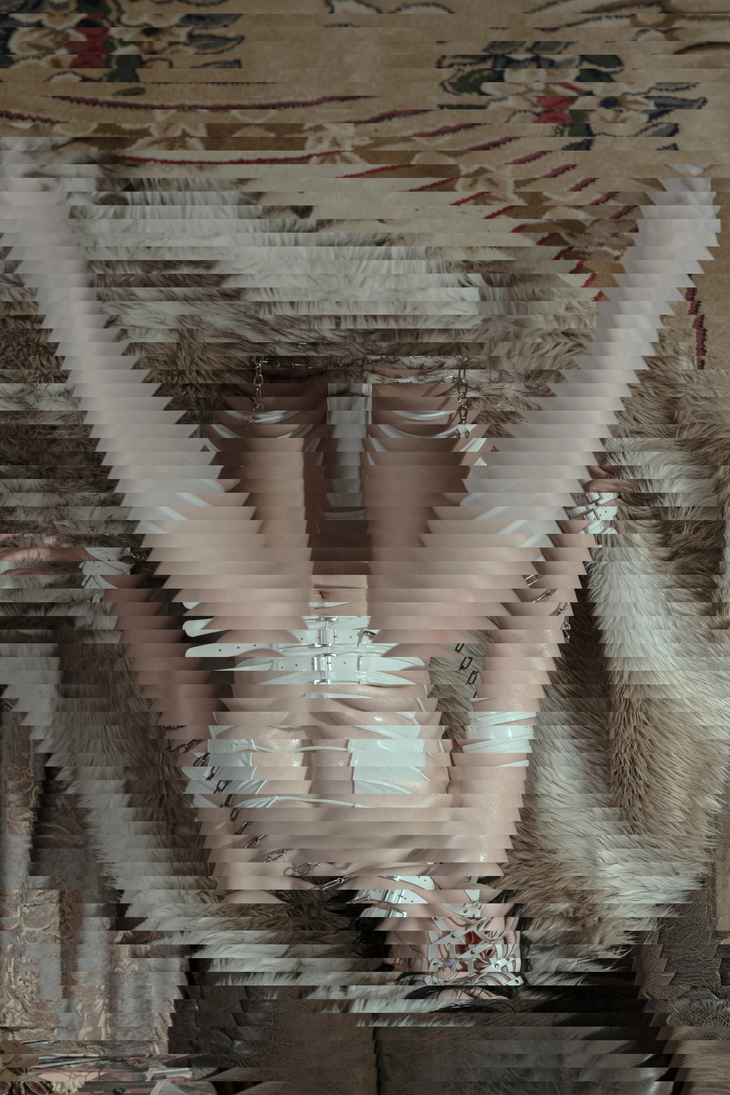 奶桃 狗狗