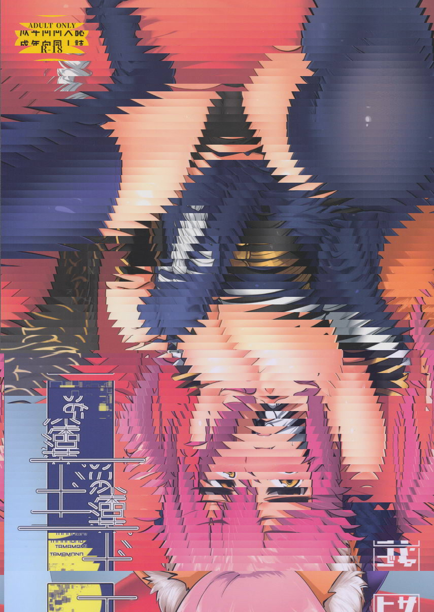 玉藻的玉藻樣