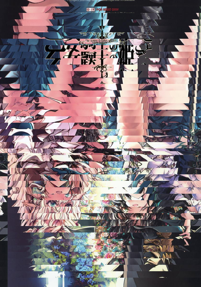 少女騎士之秘密