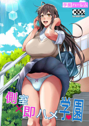 侧室x即插入学园
